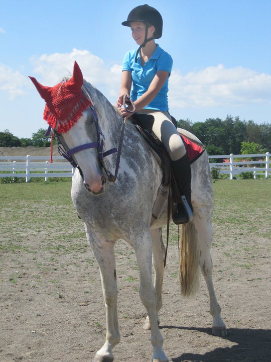 Giddy on a Gaited